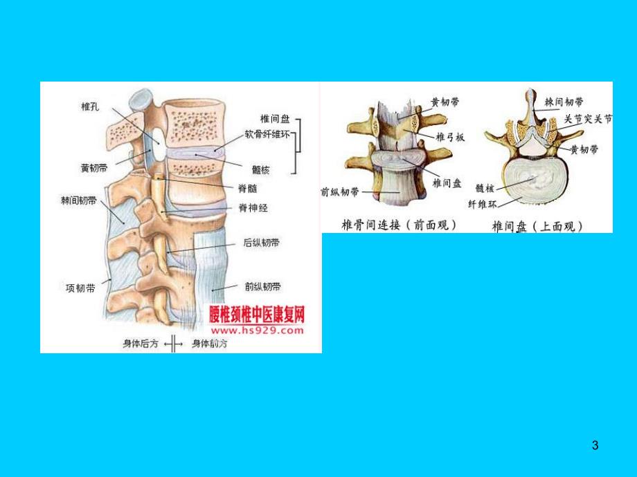 颈椎骨科检查素材ppt课件_第3页