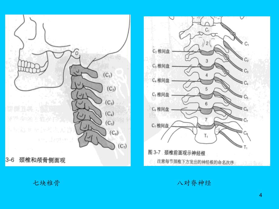 颈椎骨科检查素材ppt课件_第4页