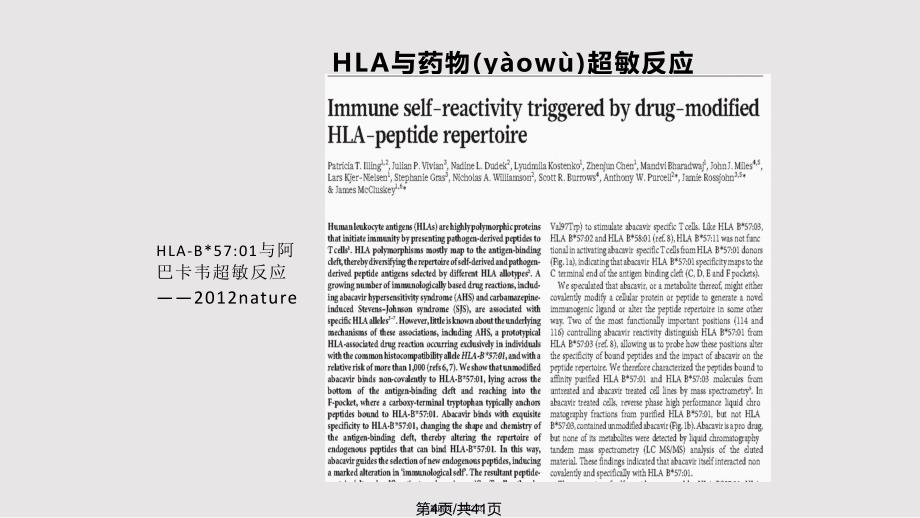 hla与药物超敏反应实用教案_第4页