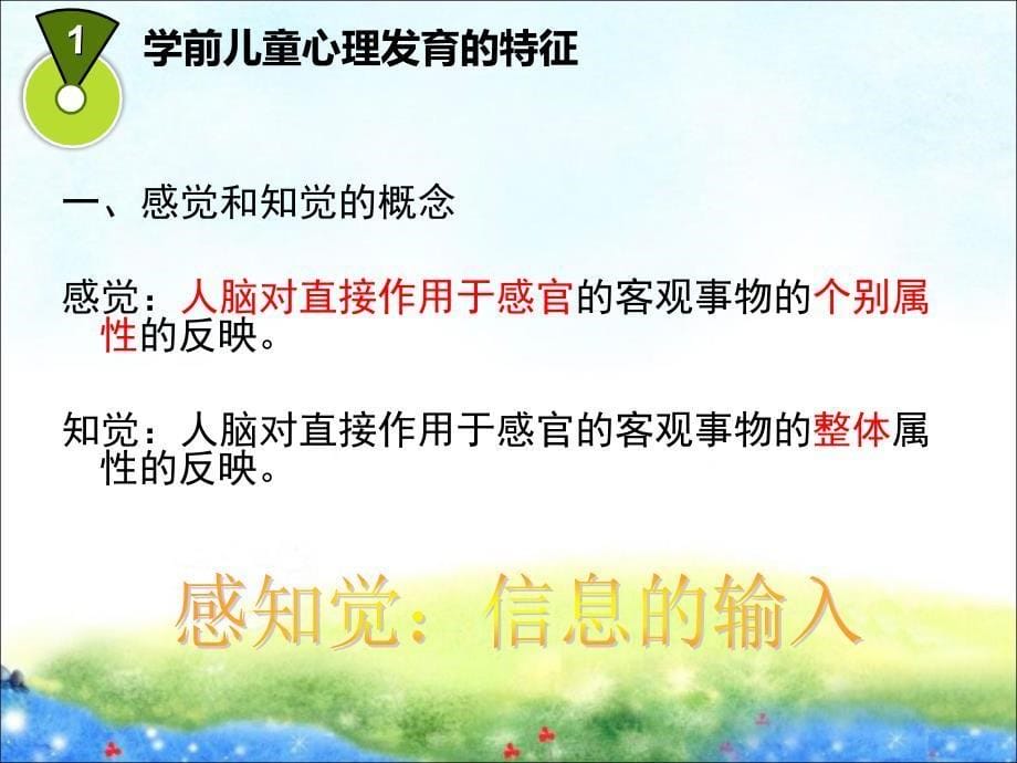 1学前儿童心理发展的主要特征_第5页