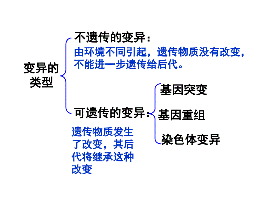 高一生物染色体变异_第4页