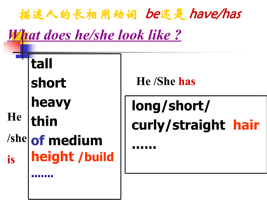 11七年级下7单元课件已做好的~33243 (2)_第4页