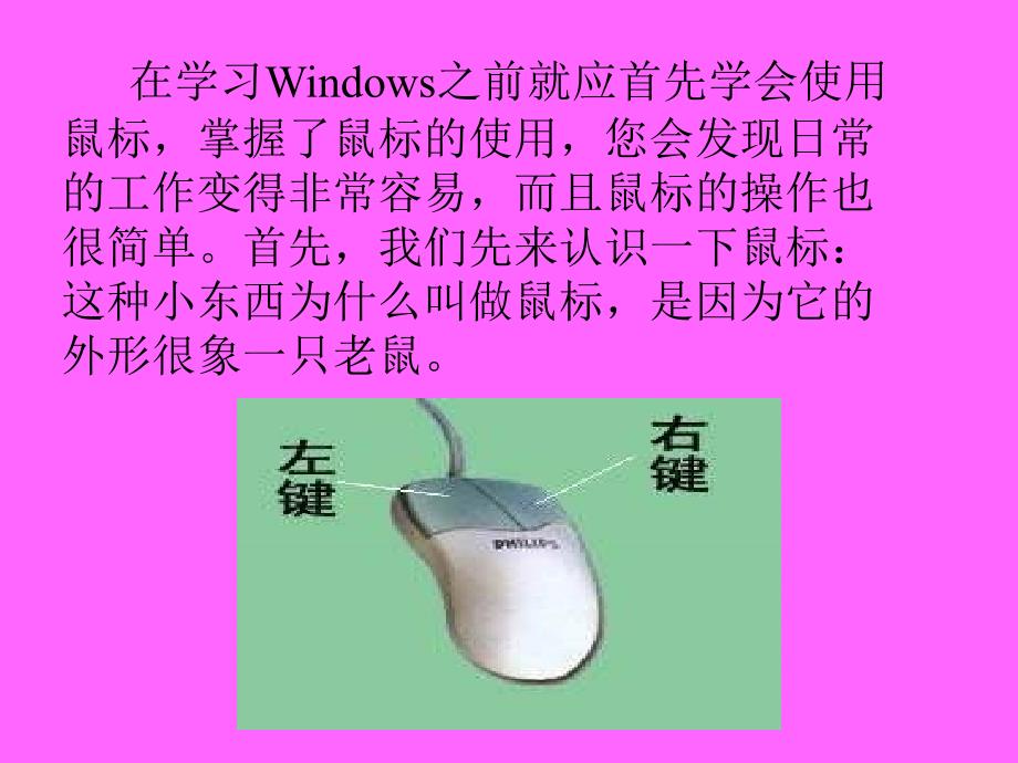 鼠标器的基本操作宋辉_第4页