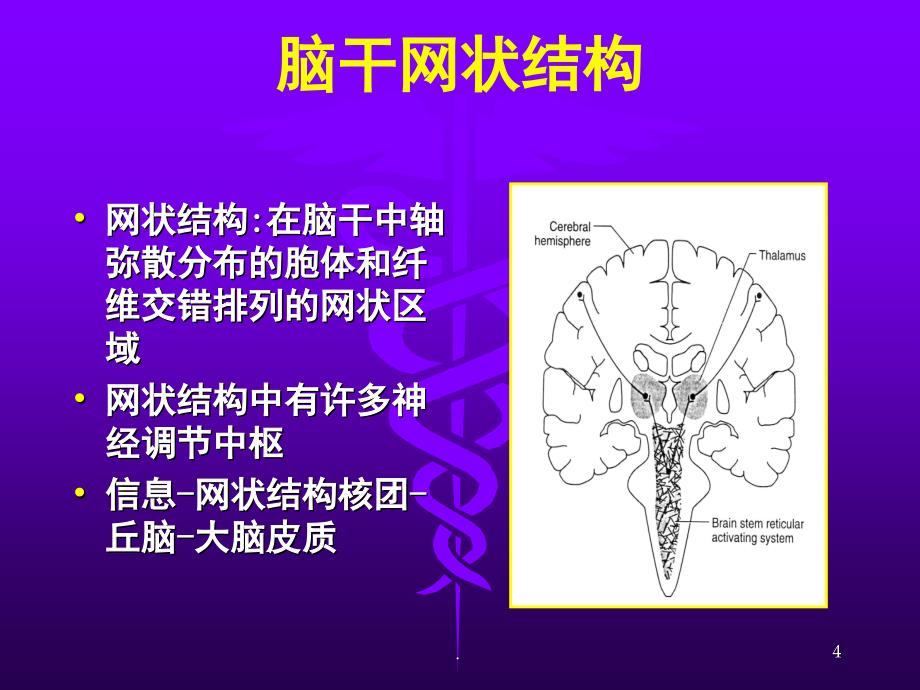 神经系统疾病常见症状课堂PPT_第4页