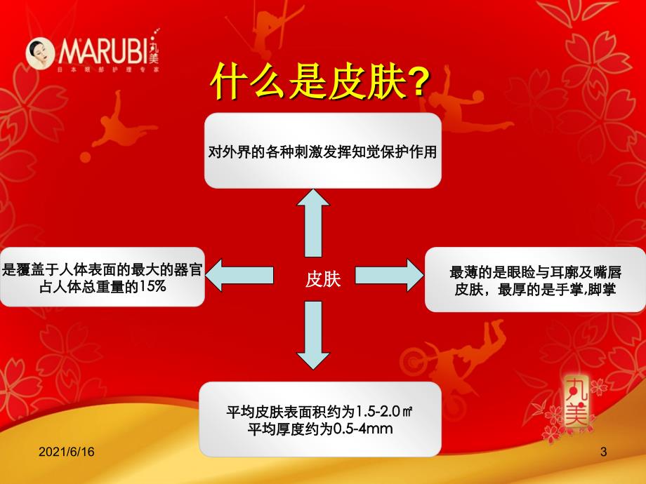 皮肤生理学及应季产品详解_第3页