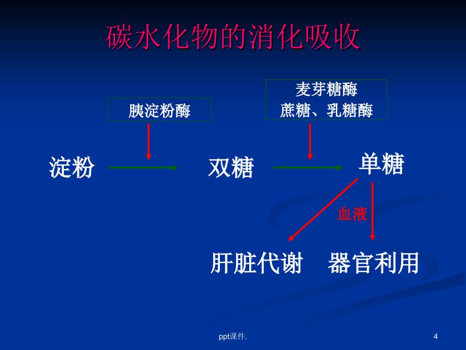 临床营养学矿物质维生素ppt课件_第4页