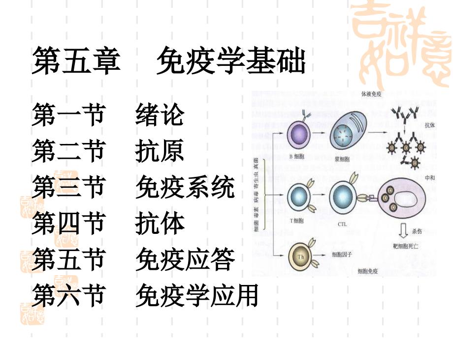 水产微生物学与免疫学免疫学基础_第3页