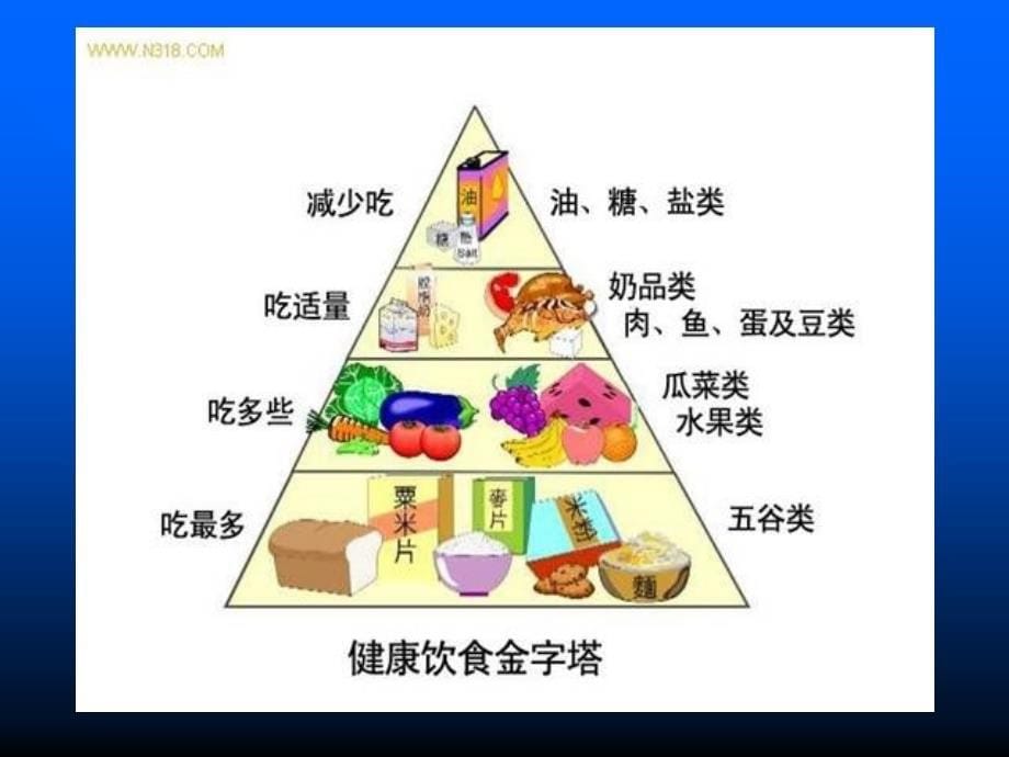 5营养体育锻炼与控制体重课件初中体育与健康人教课标版七九年级全一册课件35711geo2k_第5页