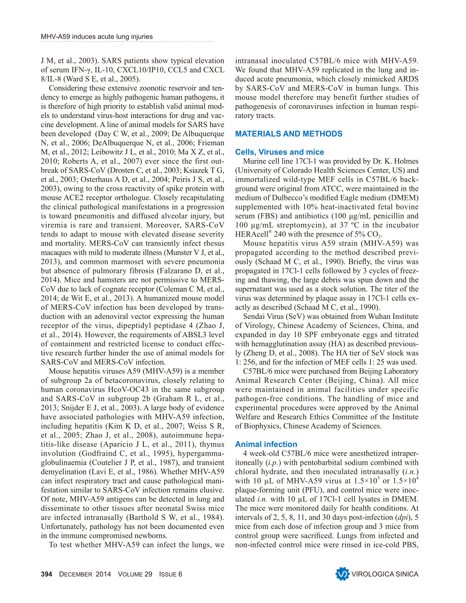 【病毒外文文献】2014 Coronavirus MHV-A59 infects the lung and causes severe pneumonia in C57BL_6 mice_第2页