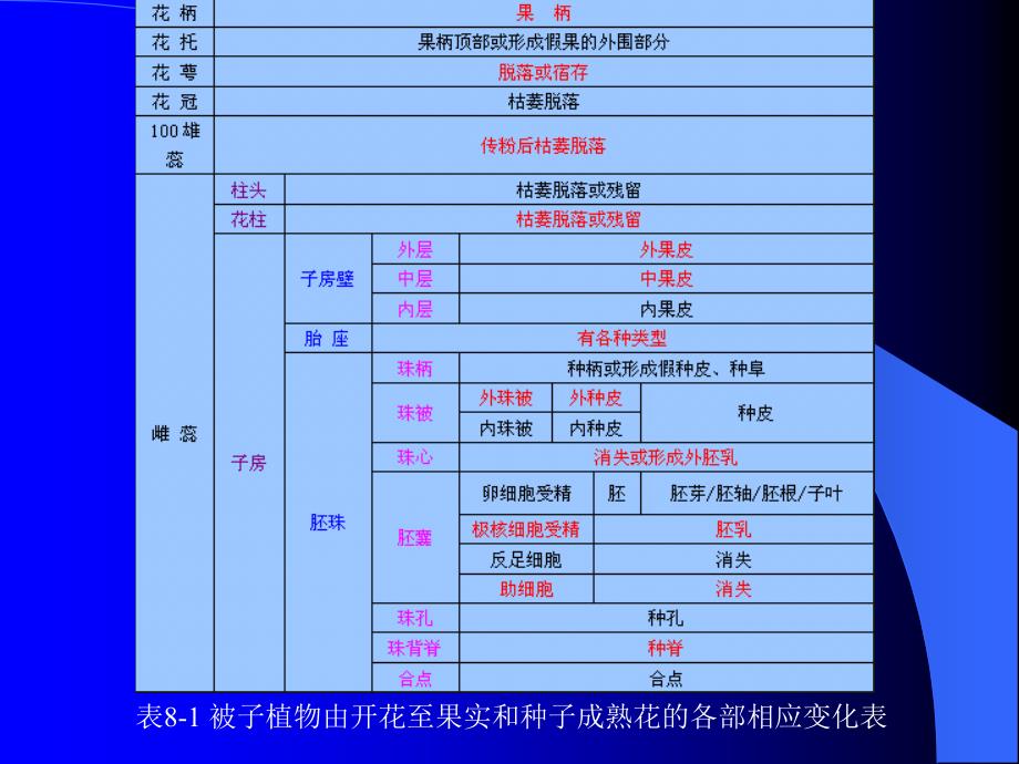 药用植物学课件5果实和种子_第2页