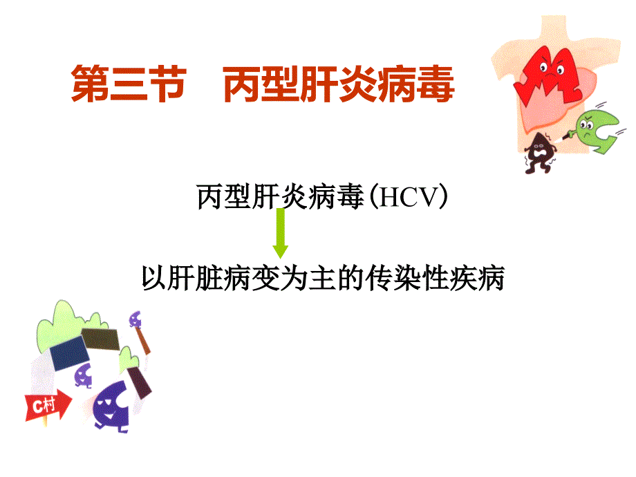 丙型肝炎病毒微生物学_第1页