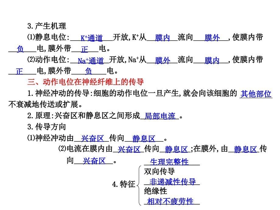 神经调节复习课用PPT课件_第5页