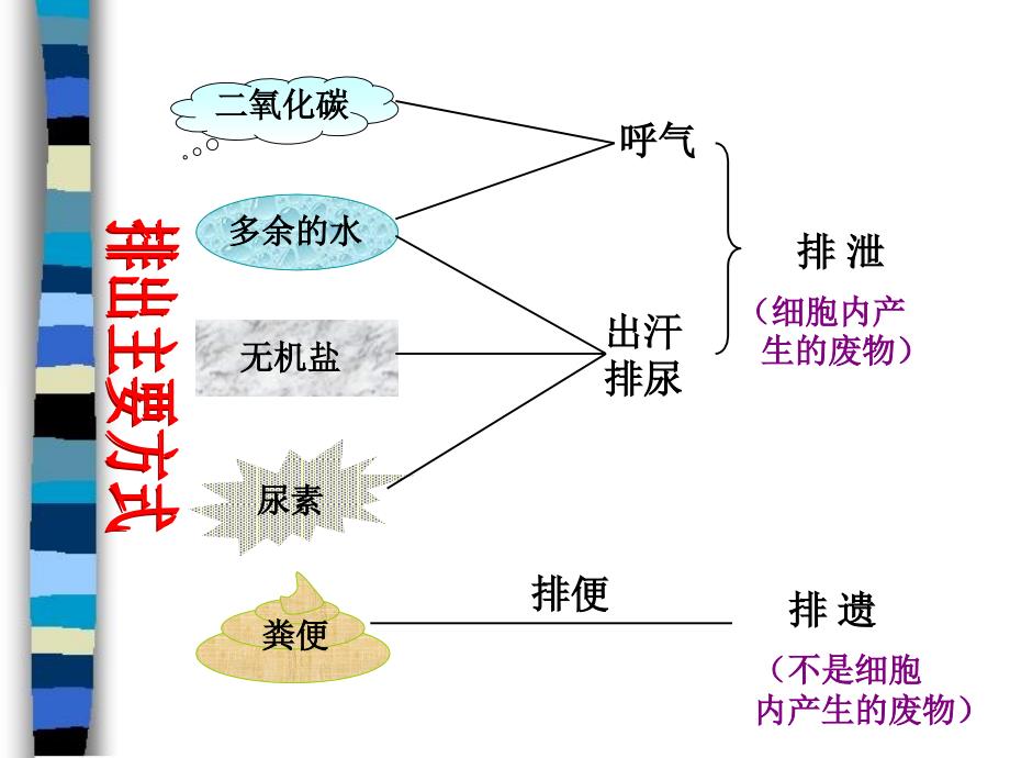 人体类废物的排出_第3页