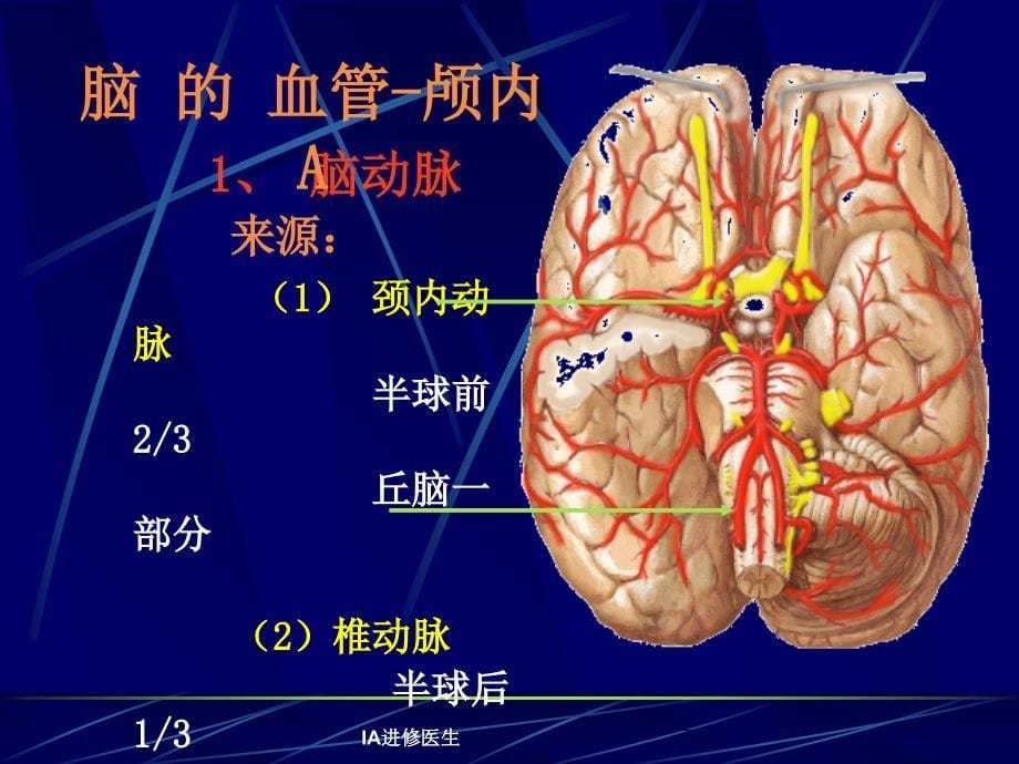 IA进修医生课件_第5页