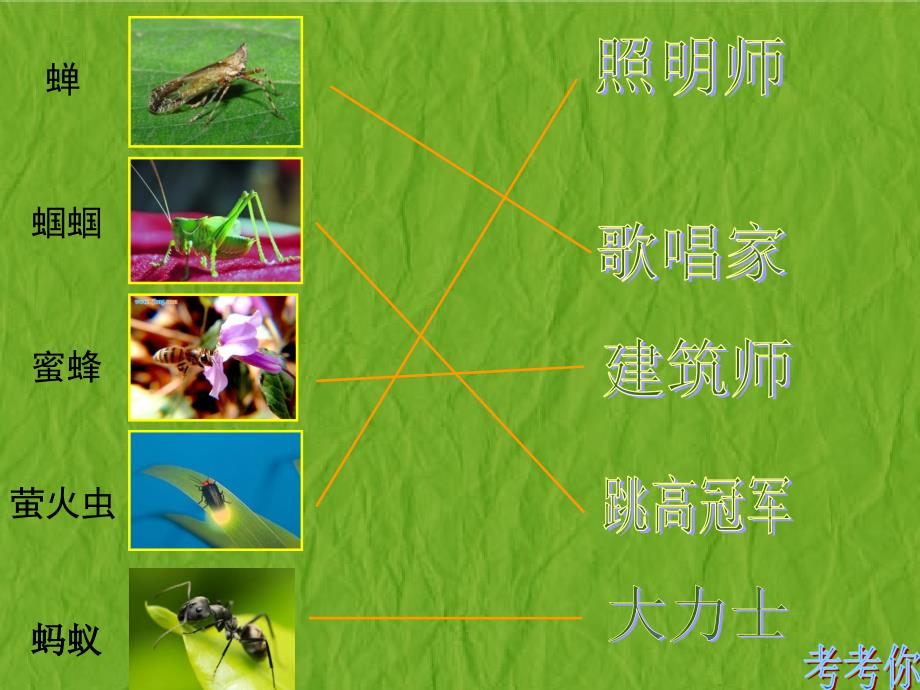 苏教版二年级美术下册《14虫虫虫（一）》课件_第3页