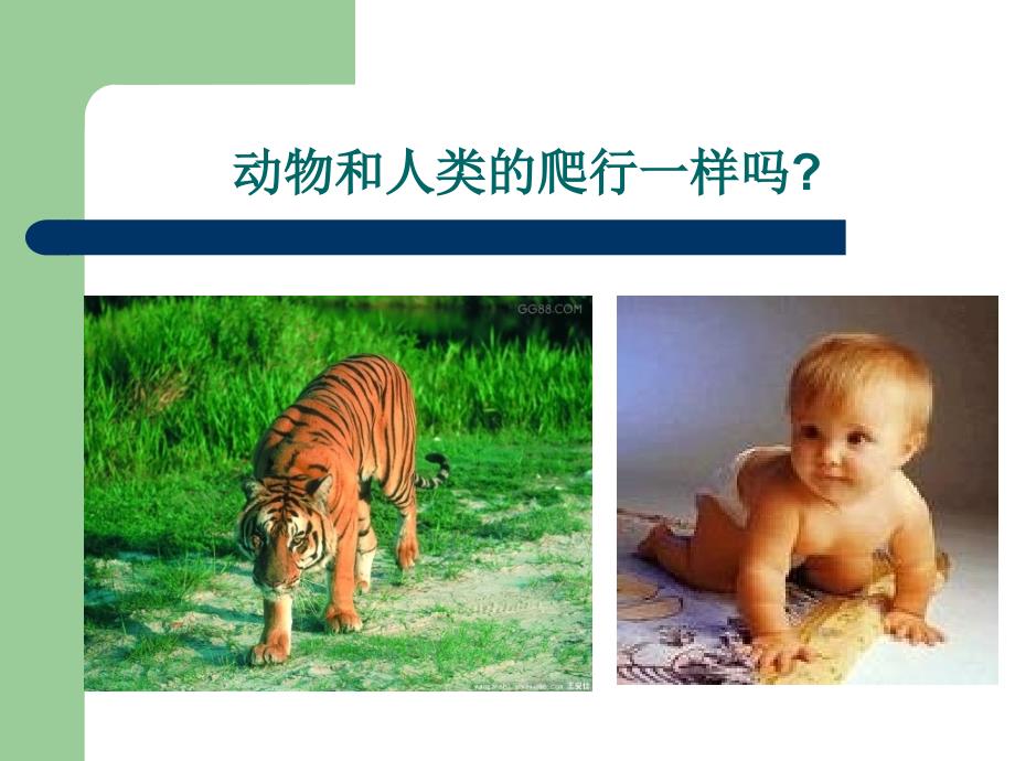 《婴幼儿的爬行》PPT课件.ppt_第2页