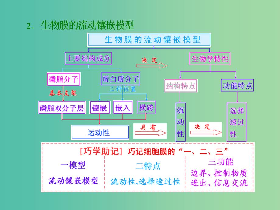 高考生物一轮复习 第二单元 第1讲 细胞膜与细胞核（含生物膜的流动镶嵌模型）课件 新人教版必修1.ppt_第4页