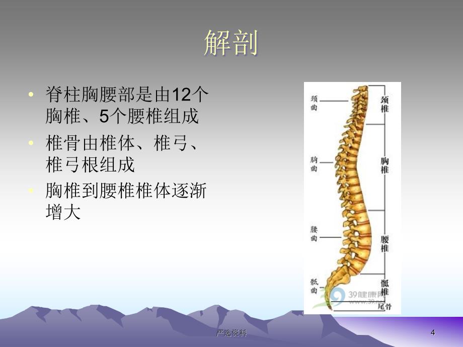 胸腰椎骨折的护理（行业荟萃）_第4页