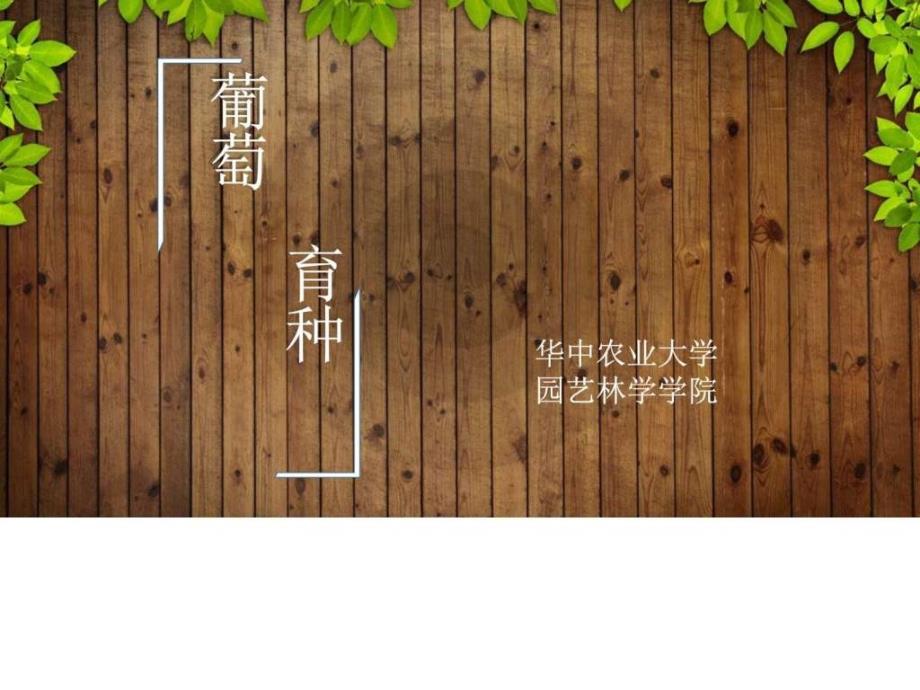 花艺走进社区图文.ppt_第1页