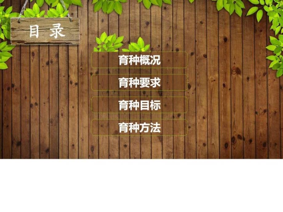 花艺走进社区图文.ppt_第2页