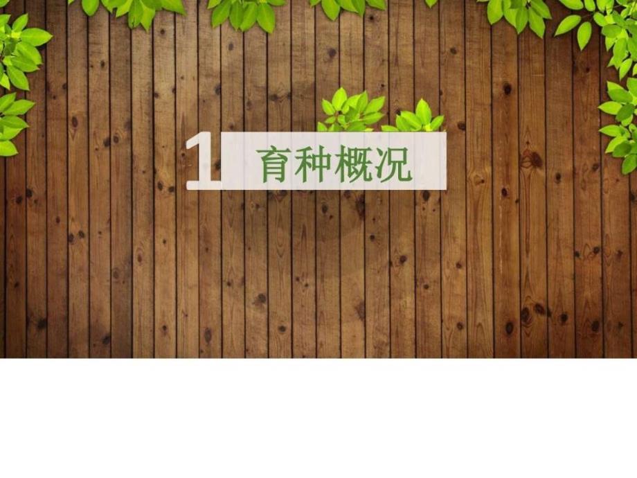 花艺走进社区图文.ppt_第3页