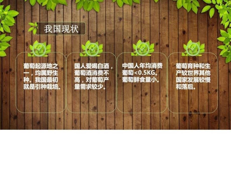 花艺走进社区图文.ppt_第5页