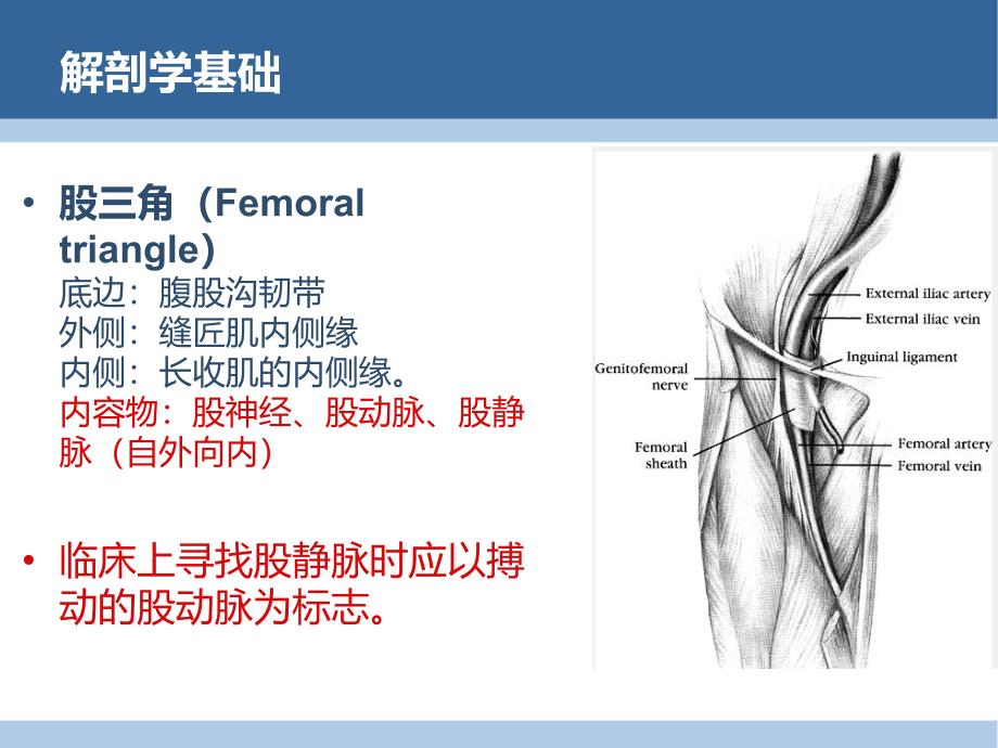 股静脉穿刺置管术_第4页