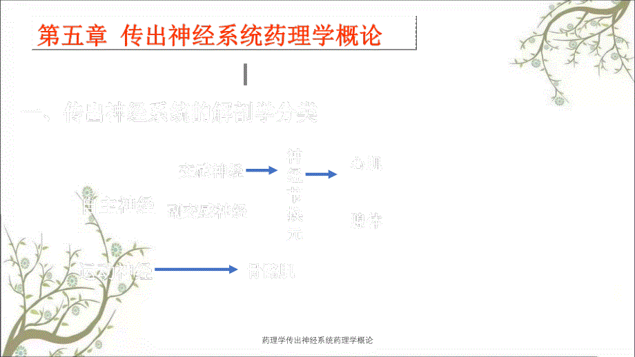 药理学传出神经系统药理学概论_第1页