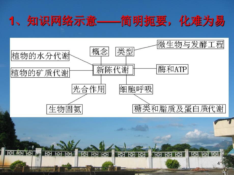 高三生物复习生物的新陈代谢.ppt_第4页