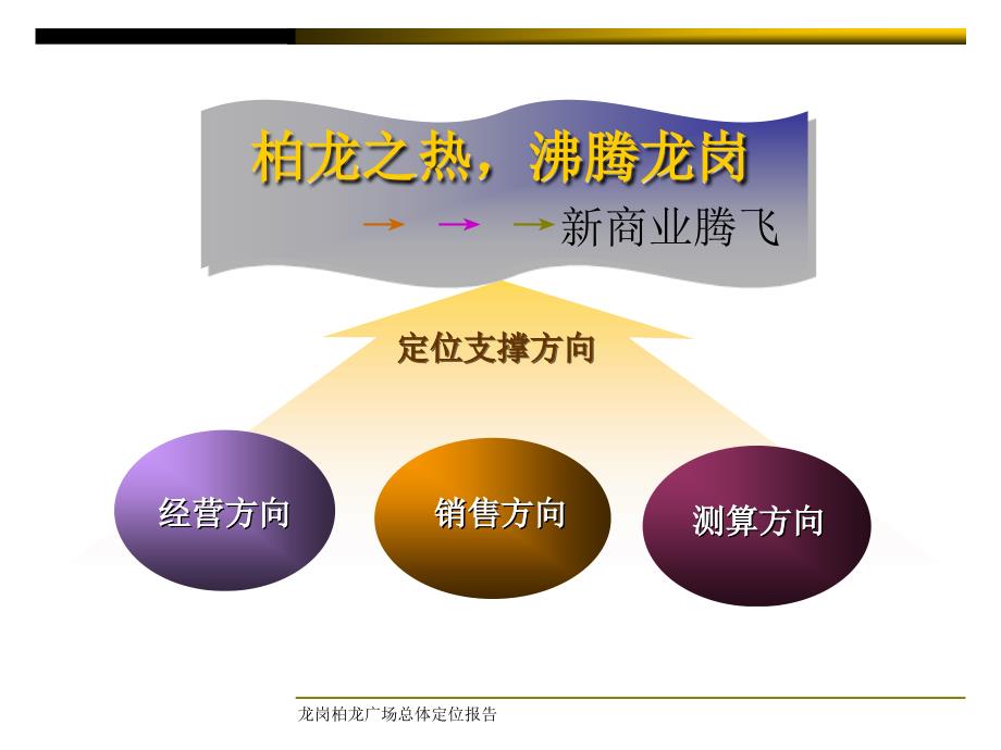 柏龙商贸购物广定位报告及财务测算报告(终稿)_第4页