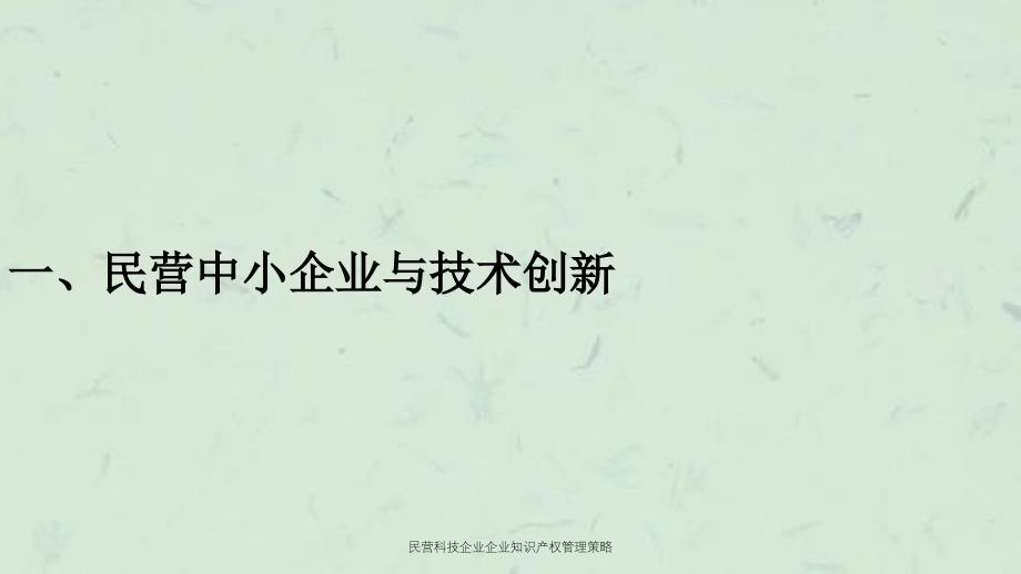 民营科技企业企业知识产权管理策略ppt课件_第1页