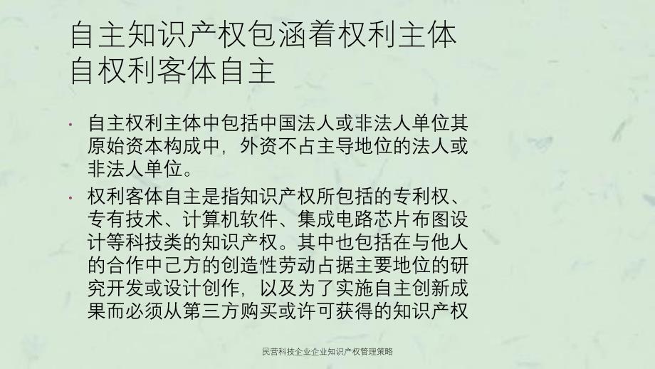 民营科技企业企业知识产权管理策略ppt课件_第3页