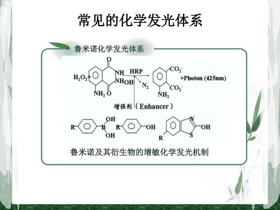 常见化学发光体系简述_第5页