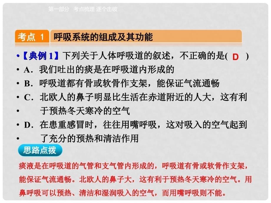 中考生物 第四单元 第三章 人体的呼吸复习课件_第5页