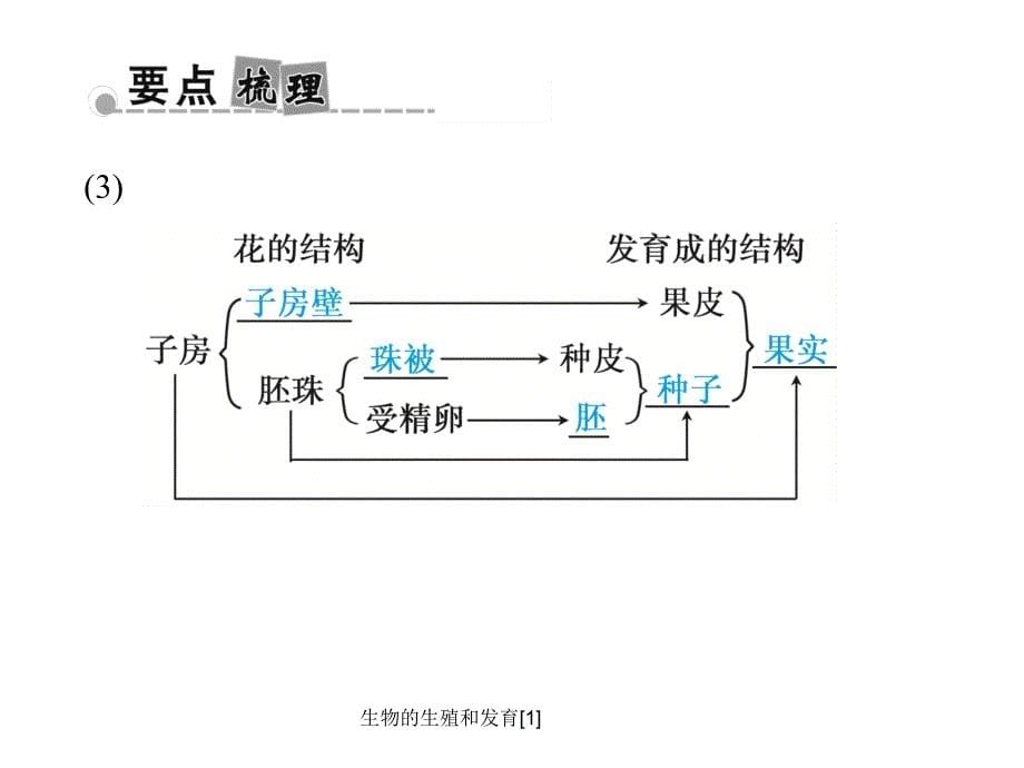 生物的生殖和发育1课件_第5页