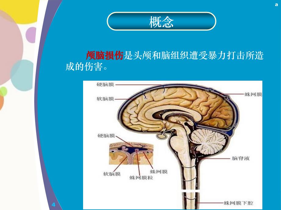 重型颅脑损伤护理查房_第4页