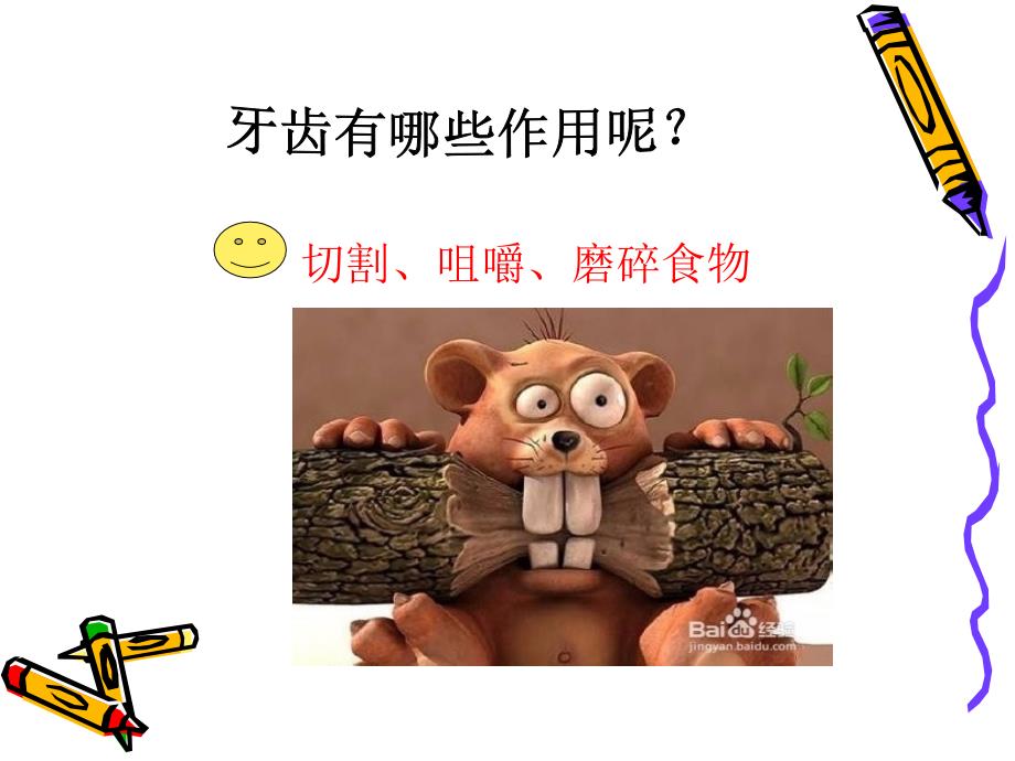 学会正确的刷牙课件_第3页