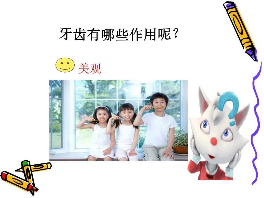 学会正确的刷牙课件_第5页