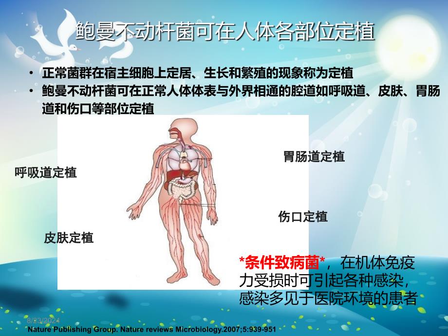 不动杆菌课件_第2页