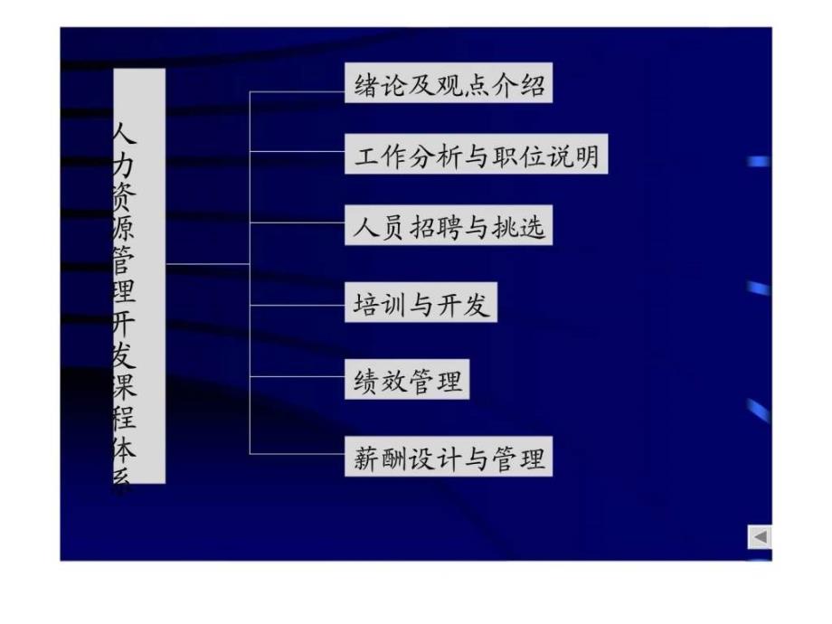 战略性人力资源管理与组织竞争优势战略制度技术_第2页