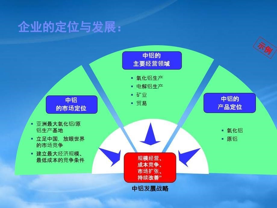 中铝集团做的信息规划ERP项目_第5页