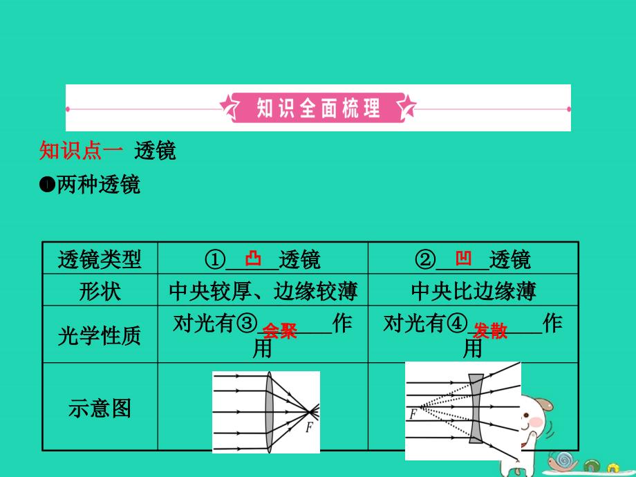 （东营专）中考物理总复习 第五章 透镜及其应用课件_第2页