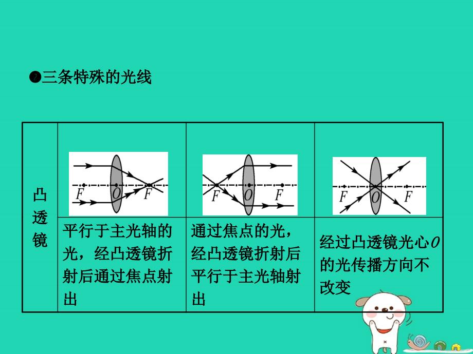 （东营专）中考物理总复习 第五章 透镜及其应用课件_第3页