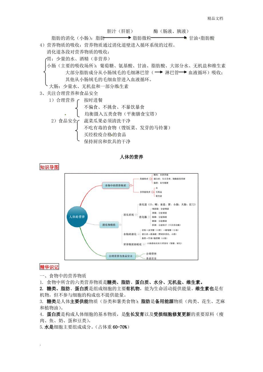 七年级生物下册《人体的营养及思维导图》新人教版_第2页