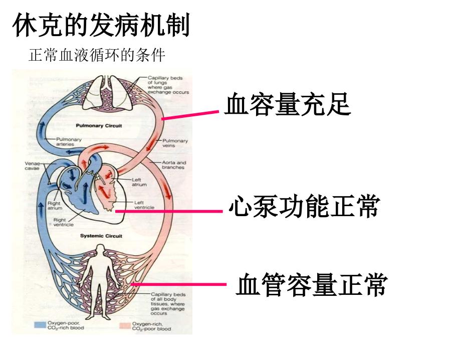 休克的病因和分类_第4页