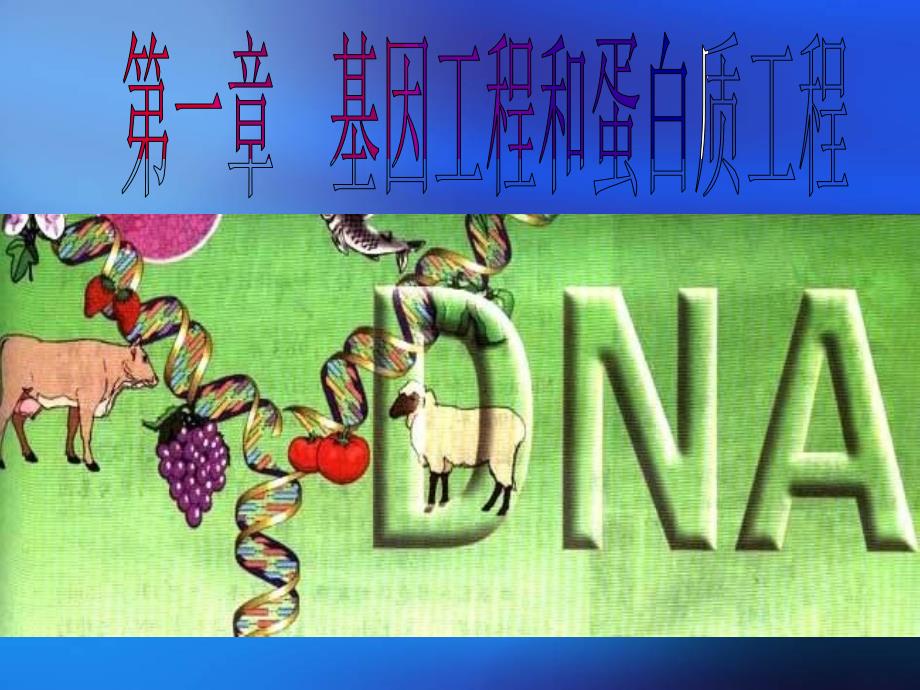 《基因工程的原理》PPT课件_第1页