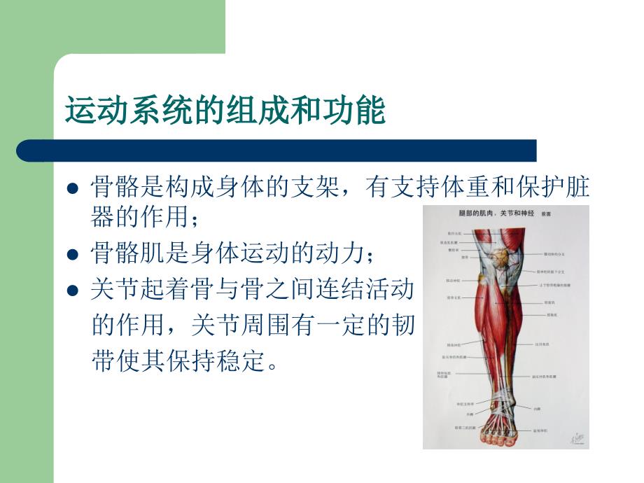 最新第二章人体生理与疾病PPT文档_第3页