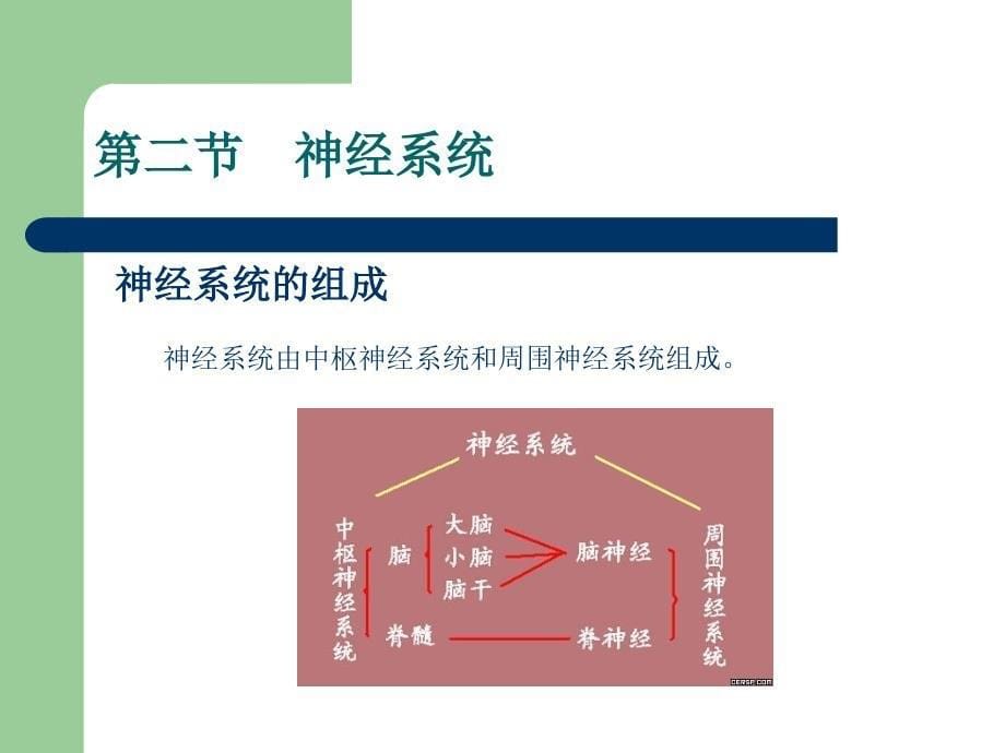 最新第二章人体生理与疾病PPT文档_第5页