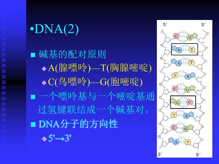 生物序列联配中的算法_第4页