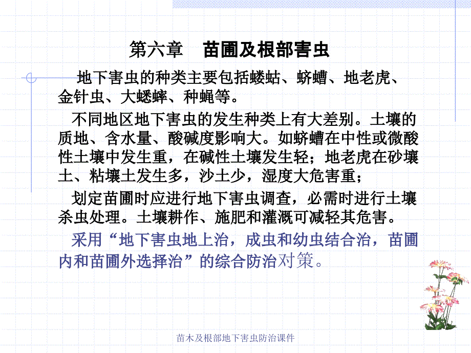 苗木及根部地下害虫防治课件_第1页